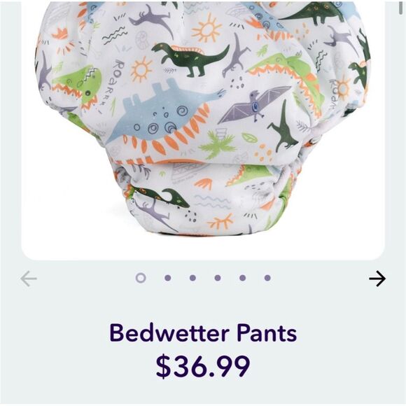 Dinosaur Print Bedwetter Pants - Picture 1 of 4